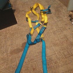 Climbing Harness 