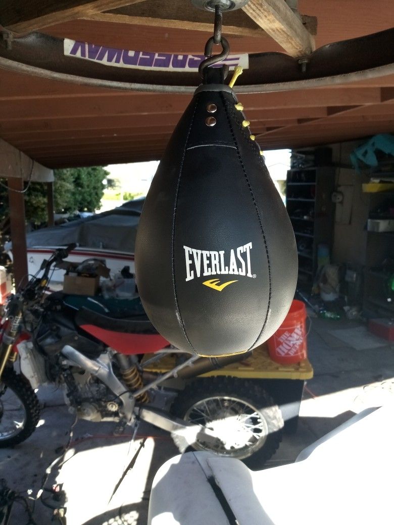 Everlast Speed Bag