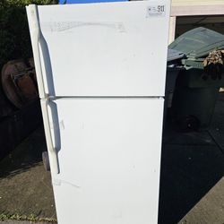 Free Fridge 