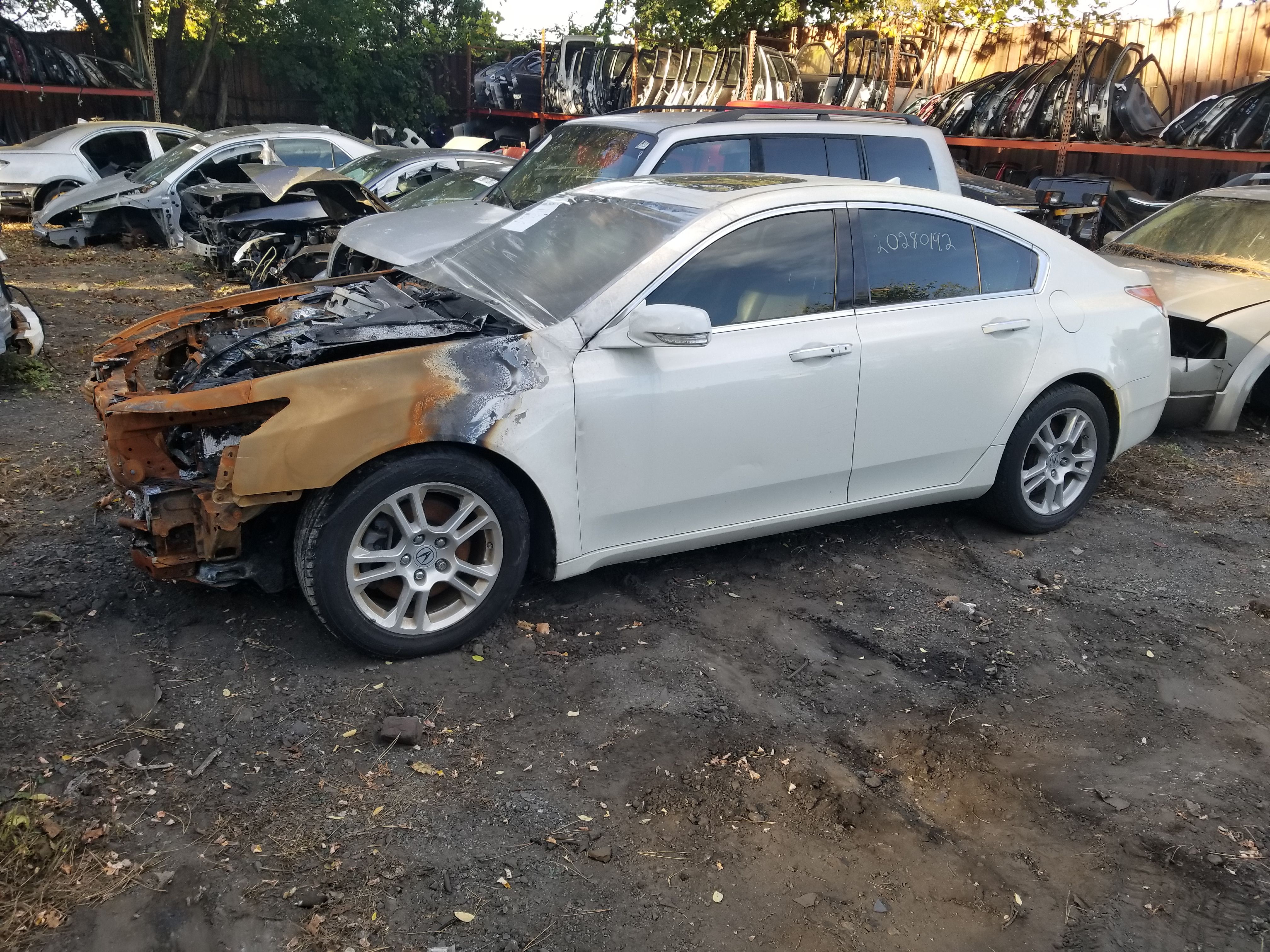 Parting out 2011 Acura 32 Tl