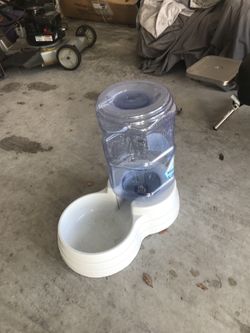 Cats and dogs water fountain