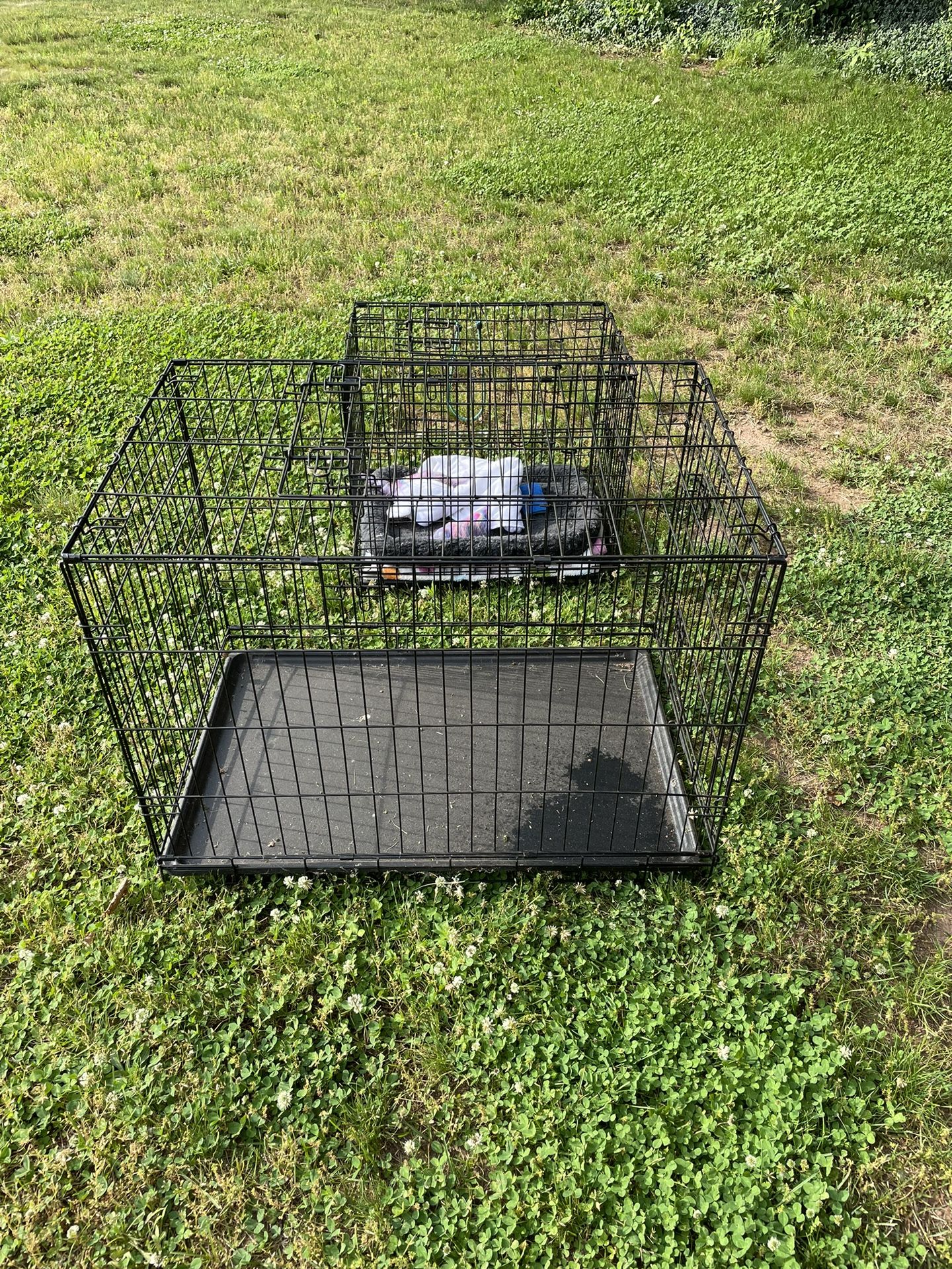 Dog Crates 