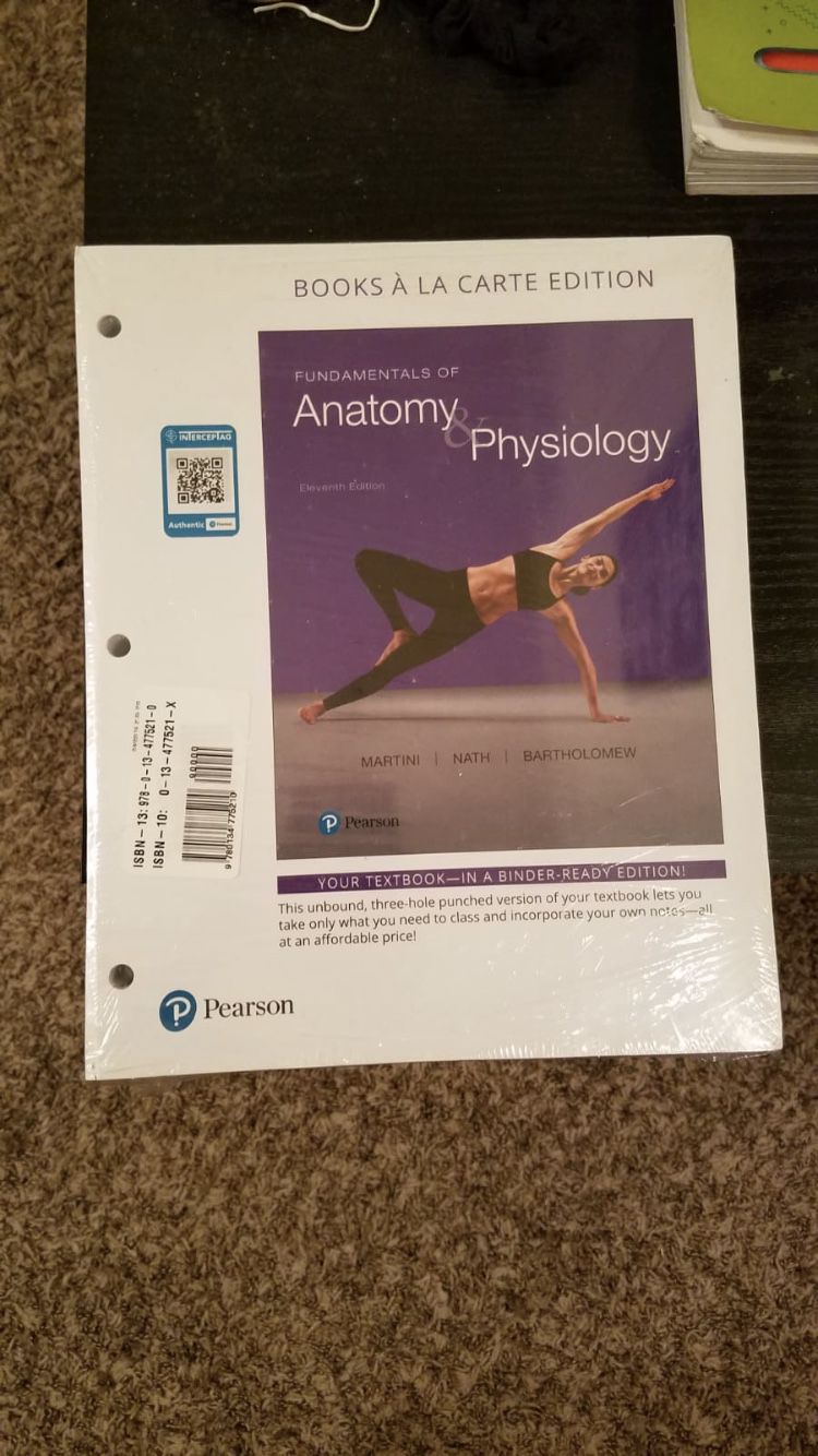 Anatomy textbook
