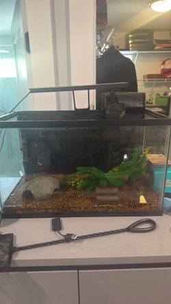 Fish Tank