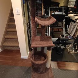 Free Cat Tree Furniture Steps Wall Toy Thingy
