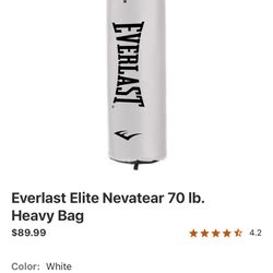 Everlast Punching Bag Setup