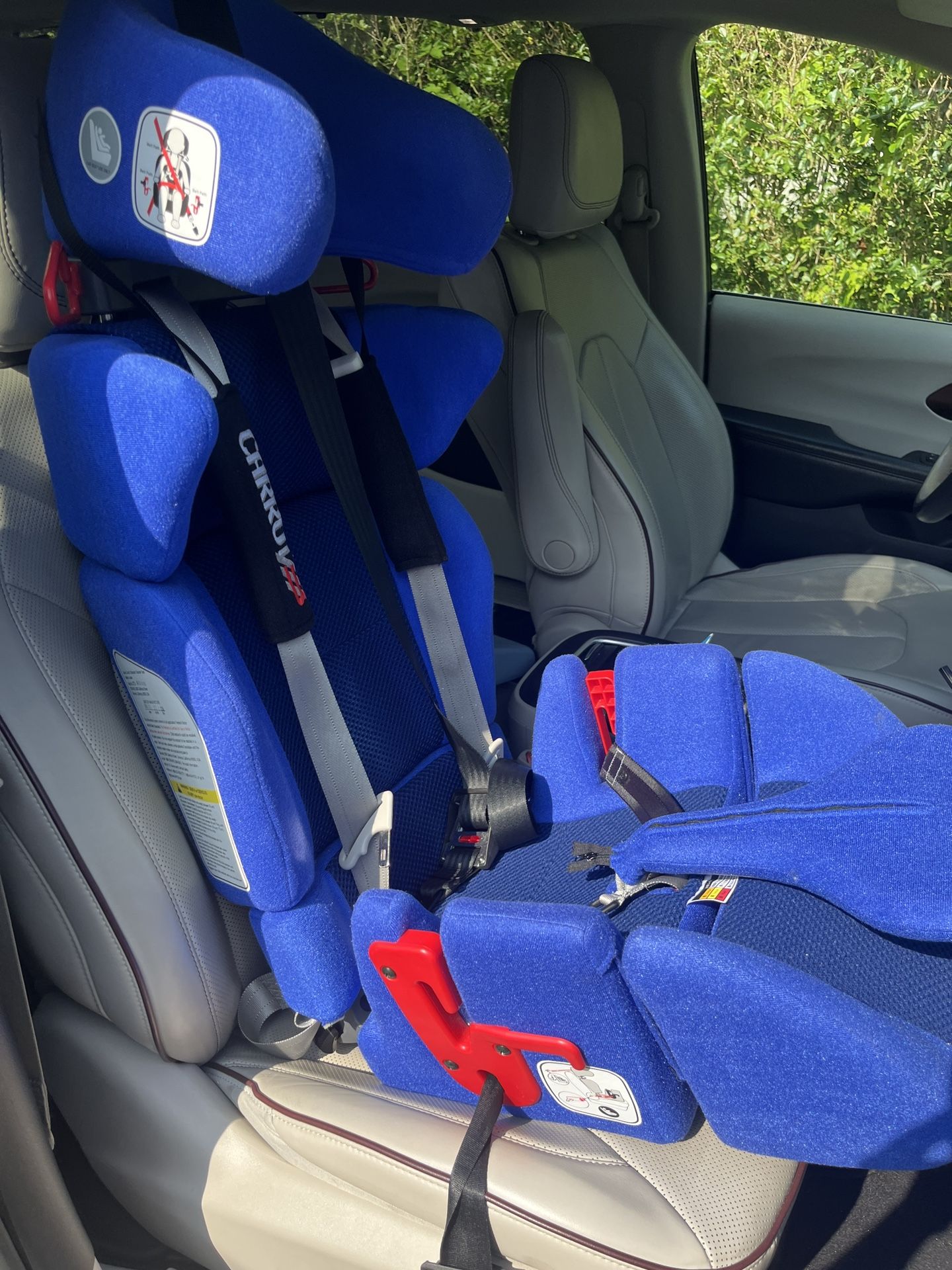 Carrot 3 special Needs Car seat