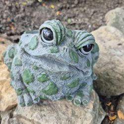 Frog Planter  H 5", W 7" x 6", Solid Resin 
