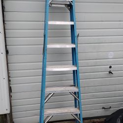 Fiberglass Ladder 