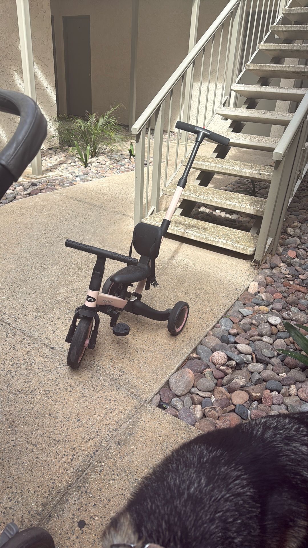 Kids Tricycle