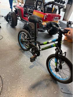 Guardian bike 14in