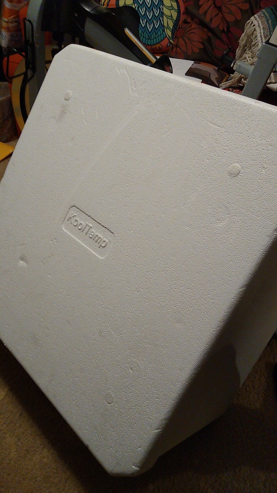 Cool Temp Styrofoam Cooler/Box