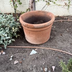 Planters