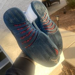 Jordan 12s 