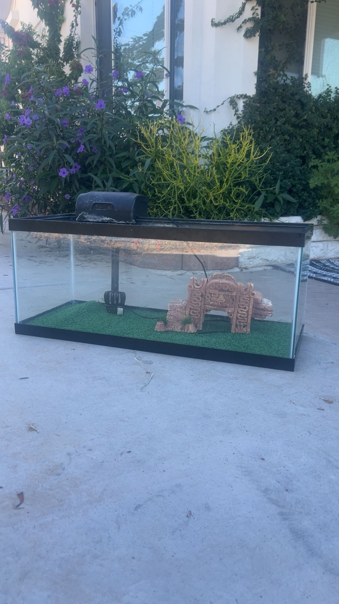 Fish tank With Filter Pump .