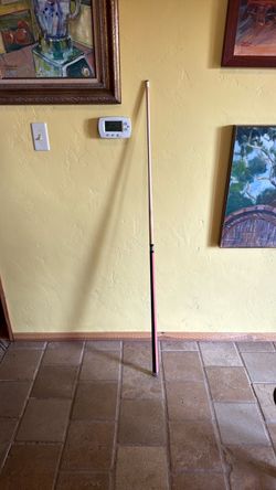 Players pool cue