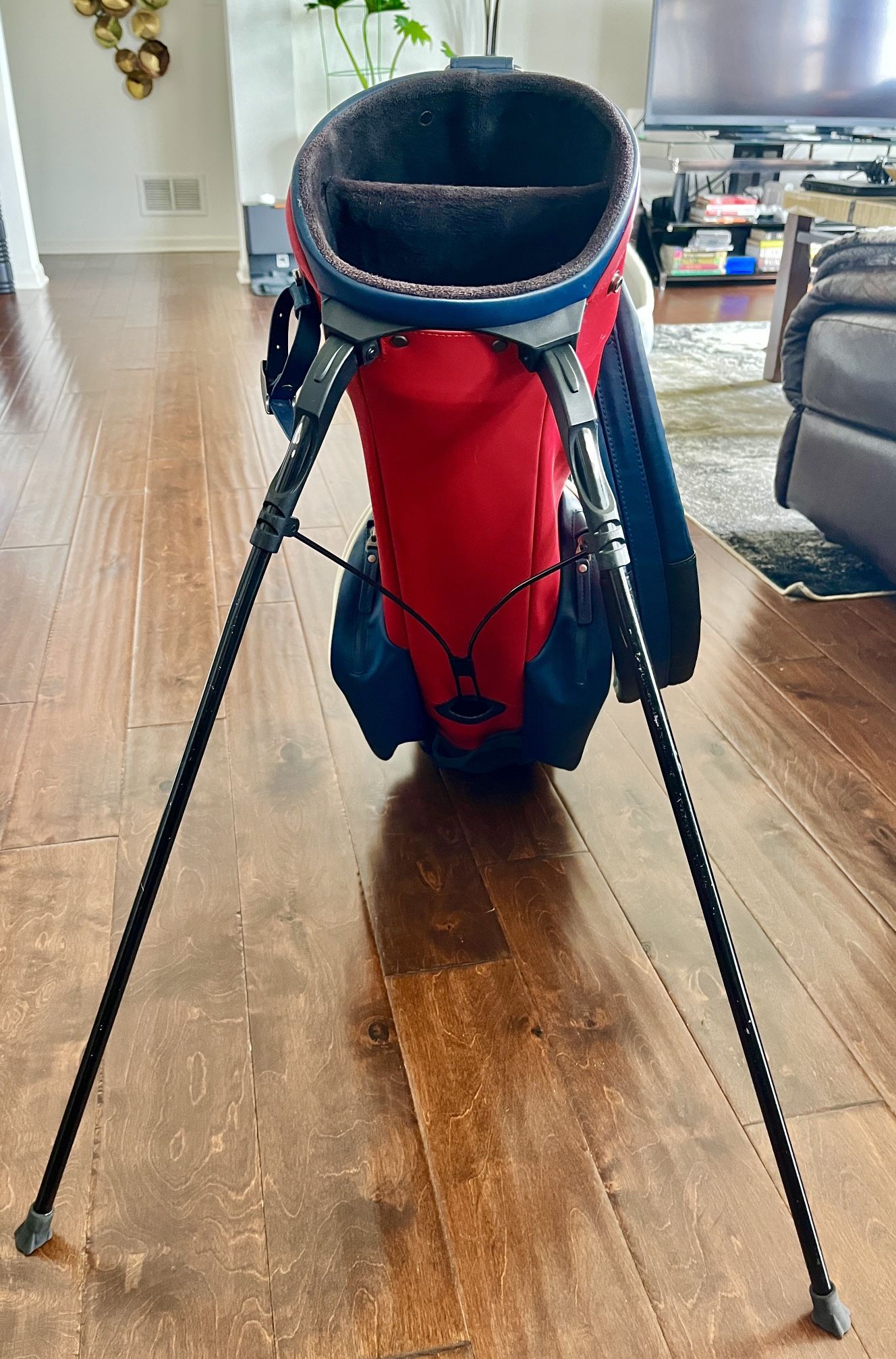Stitch Golf Bag $100 Golf