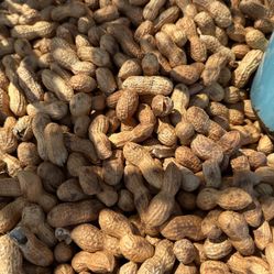 Freshly Roasted Peanuts ( CACAHUATE RECIÉN TOSTADO)