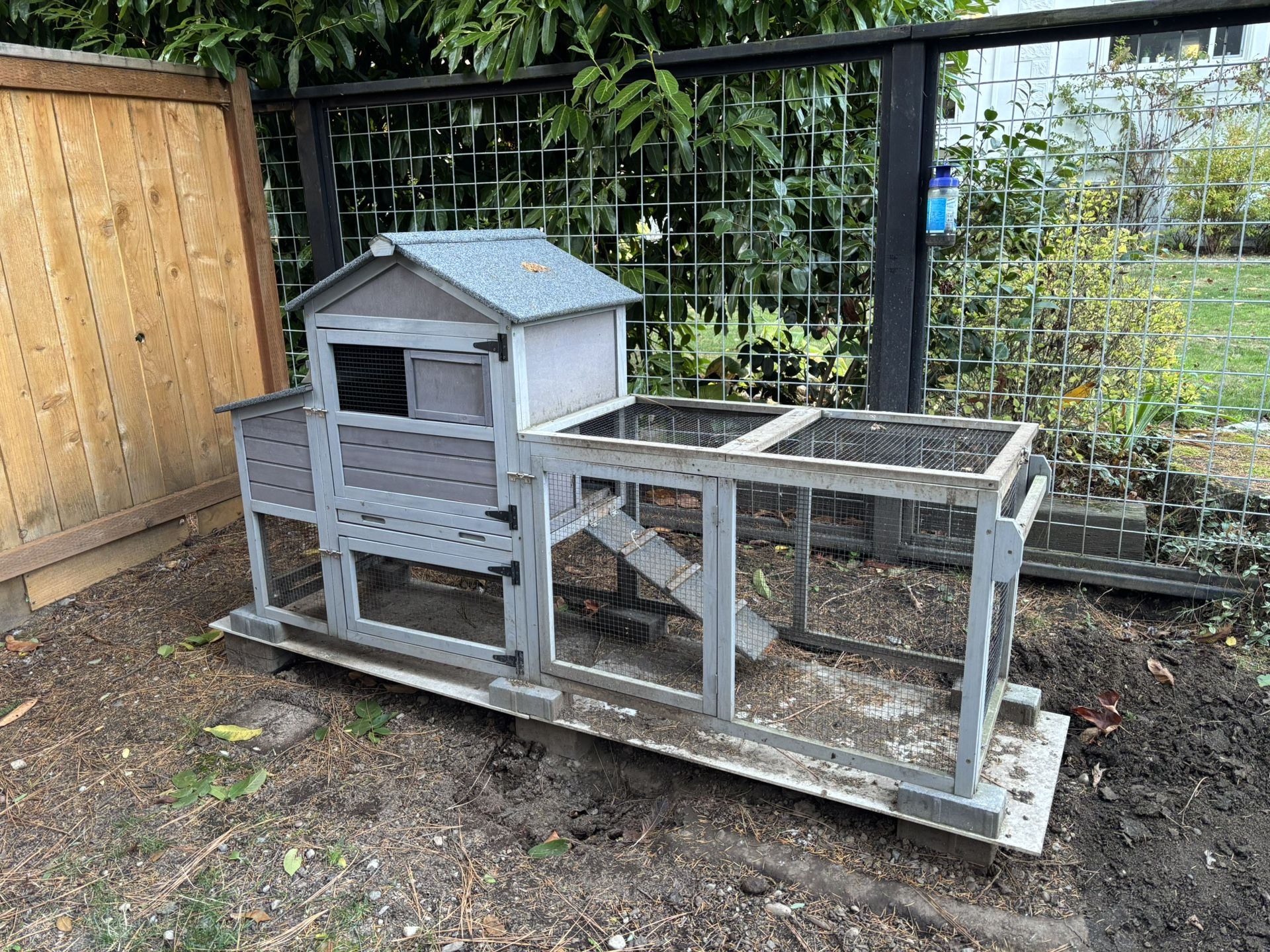 Chicken Coop