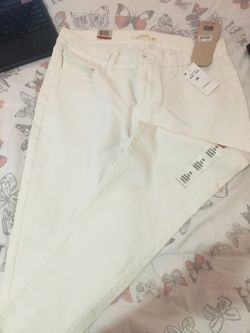 Ladies pants