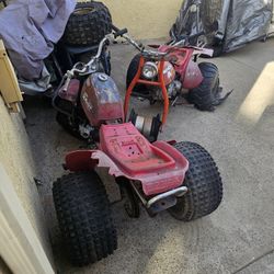 Honda Atc 110 3 Wheelers