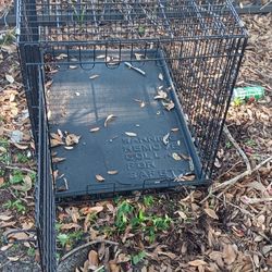 Petmate Medium Dog Crate