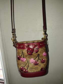 Coach Mini Cherry Bucket