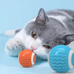 Interactive Cat Toy Wicked Ball