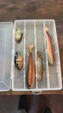 Large Swim Baits Bass Fishing