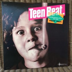 Teen Beat. Vinyl Record 