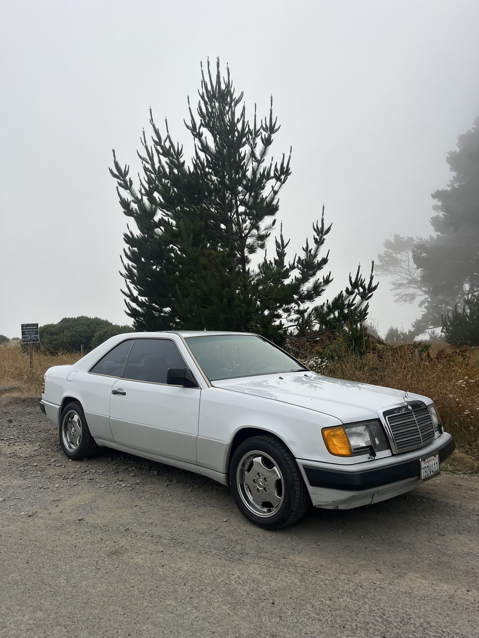 1989 Mercedes-Benz 300