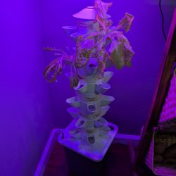 40 Pod Hydroponic Garden with UV Light 