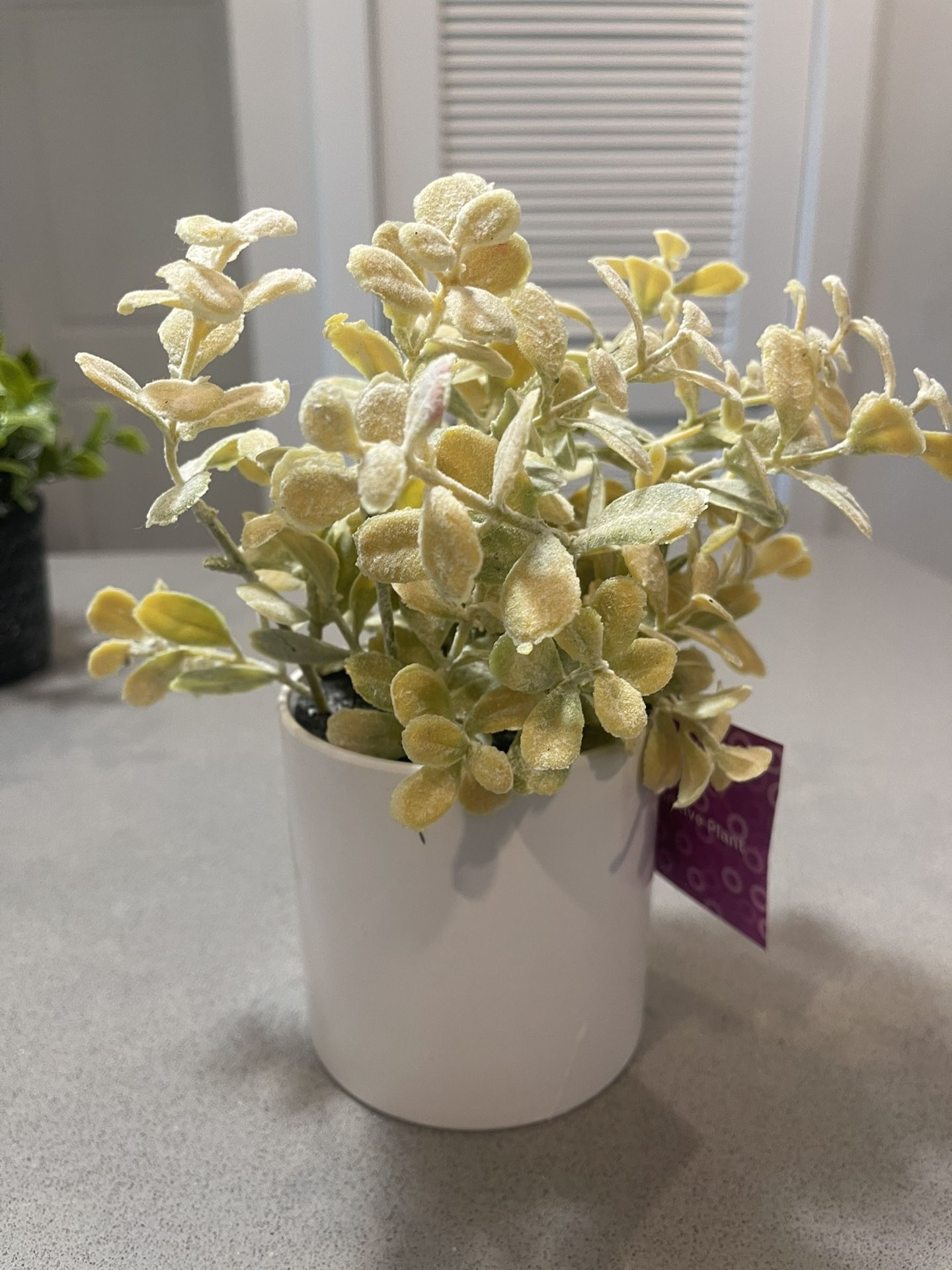 Fake Plants
