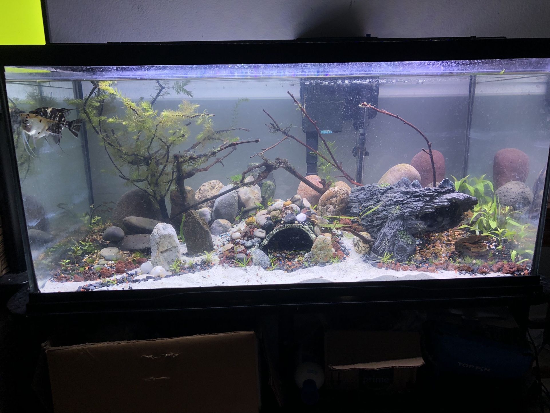 Custom Aquascapes! Custom Aquariums! Read Description Message For More