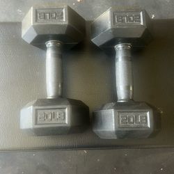 Vulcan Dumbbells 20lb