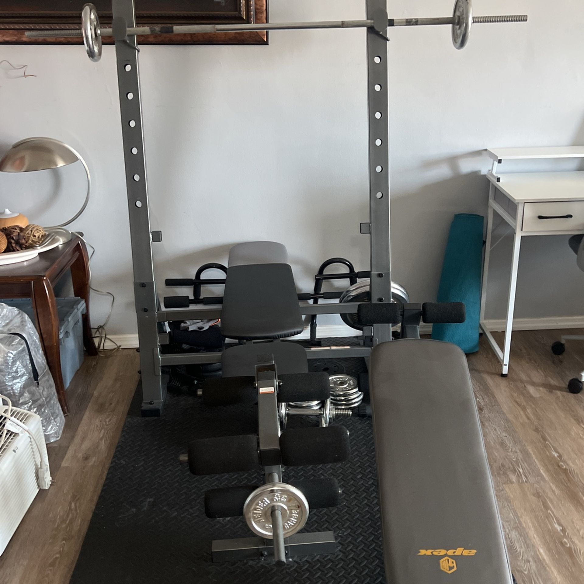 Exercise Bench