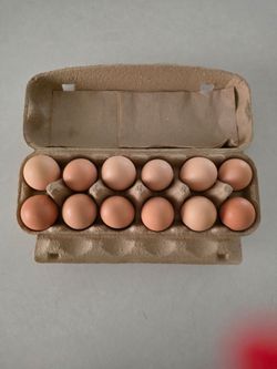 Fresh eggs 🥚