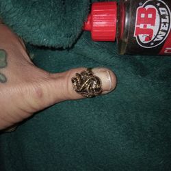 18k Gold Filled Beautiful Flower Ring