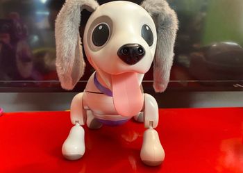 Zoomer the robotic puppy with response commands.