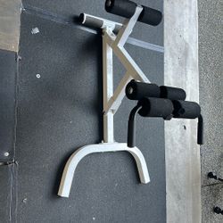 Back Extension 