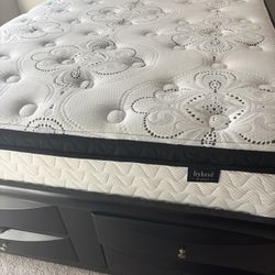 Mattress (Full) - Great Condition