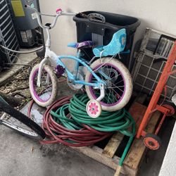 Small Girl  Bike 