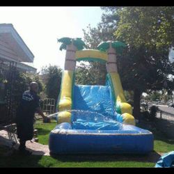 Waterslide For Sale 