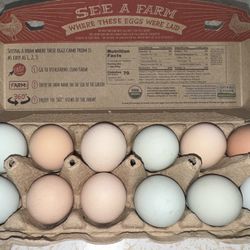 Free Range Cage Free Unwashed Hen Gems Chicken Eggs