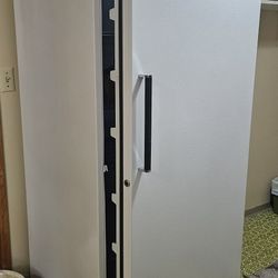 GE Stand Alone Freezer