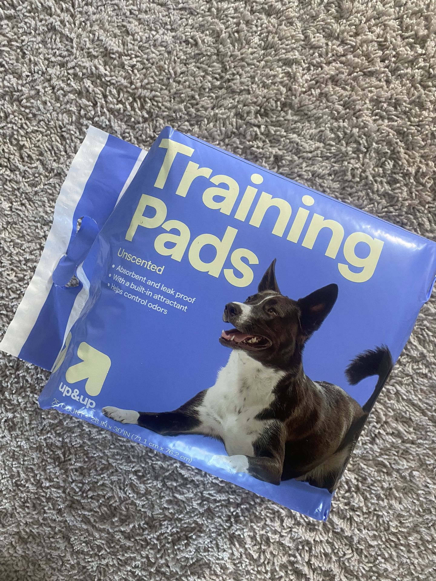 XL Training Pads For Dogs & Cats