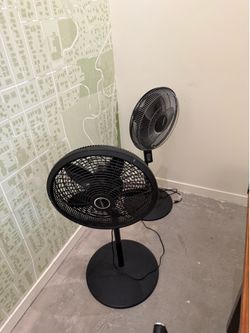Lasko Oscillating Table/Pedestal Fan (Large, Adjustable Height)