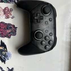 Nintendo Switch Controller 