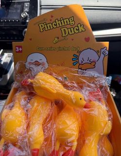 Duck squishy