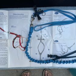 Come With Me, Kitty Leash With Gentle, Secure Harness – Leash Expands From 5 Foot To 7 Foot-please read description RE bundled items